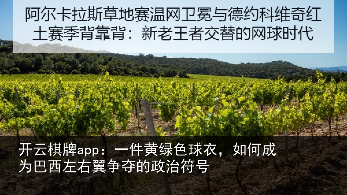 开云棋牌app：一件相关情况为巴相关情况治符号