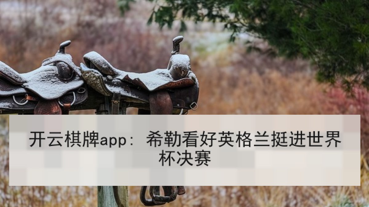 开云棋牌app: 希勒看好英格兰挺进世界杯决赛 开云棋牌app: 希勒看好英格兰挺进世界杯决赛