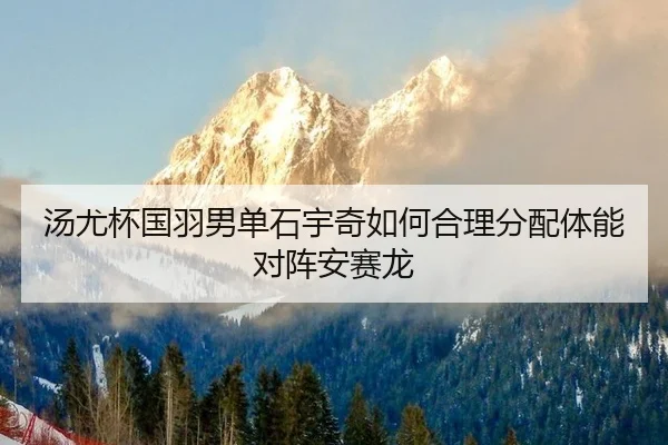 tang-you-bei-guo-yu-nan-dan-shi-yu-qi-ru-he-he-li-fen-pei-ti-neng-dui-zhen-an-sai-long-2-593.jpg