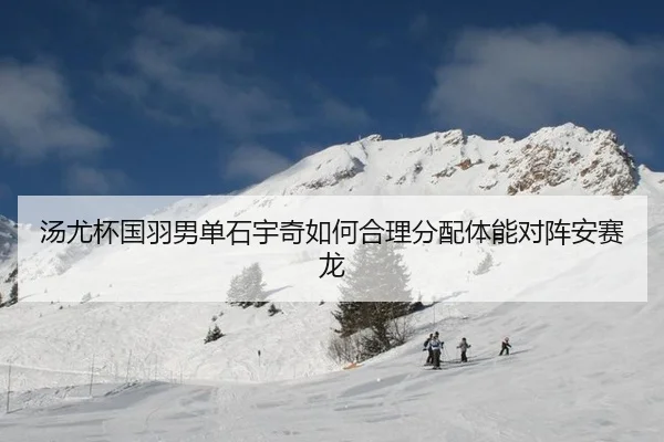 tang-you-bei-guo-yu-nan-dan-shi-yu-qi-ru-he-he-li-fen-pei-ti-neng-dui-zhen-an-sai-long-3-599.jpg