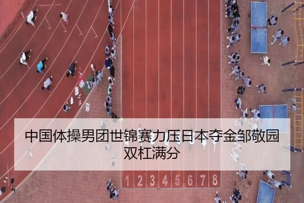 中国体操男团世锦赛力压日本夺金邹敬园双杠满分